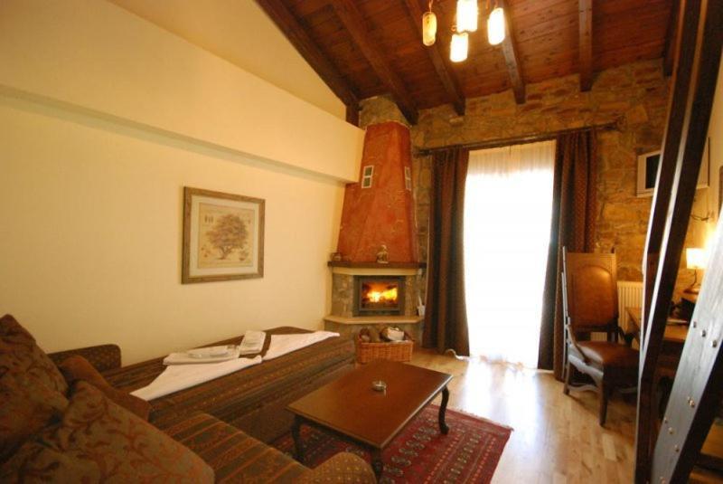 Vasilitsa Spa Resort Grevena Pokoj fotografie