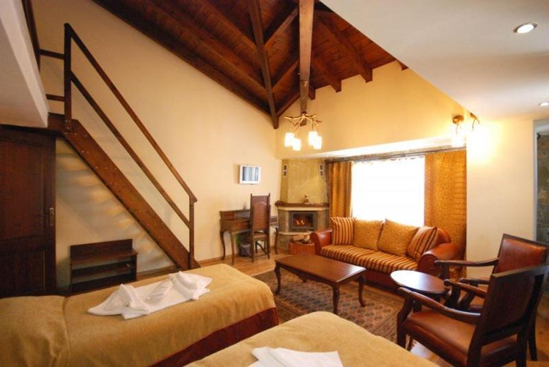 Vasilitsa Spa Resort Grevena Pokoj fotografie