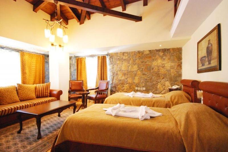 Vasilitsa Spa Resort Grevena Pokoj fotografie