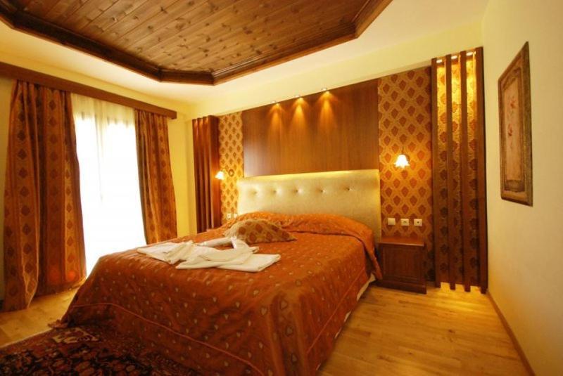 Vasilitsa Spa Resort Grevena Pokoj fotografie