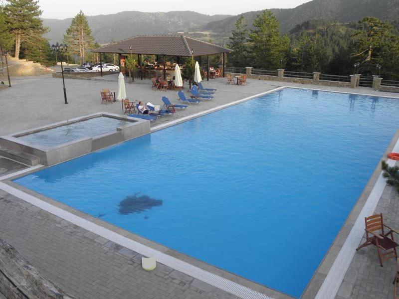 Vasilitsa Spa Resort Grevena Exteriér fotografie
